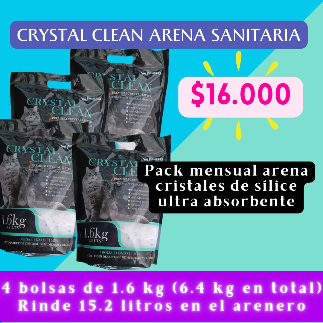 WhatsApp Image 2023-12-15 at 17.09.48